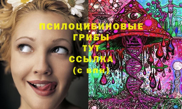 первитин Осташков