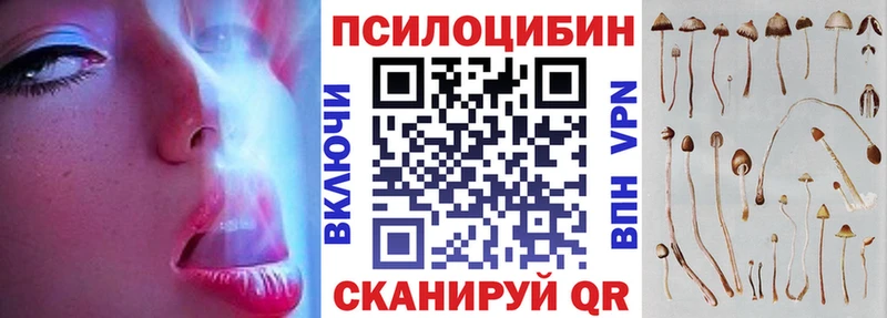 Псилоцибиновые грибы прущие грибы  даркнет сайт  Куровское 